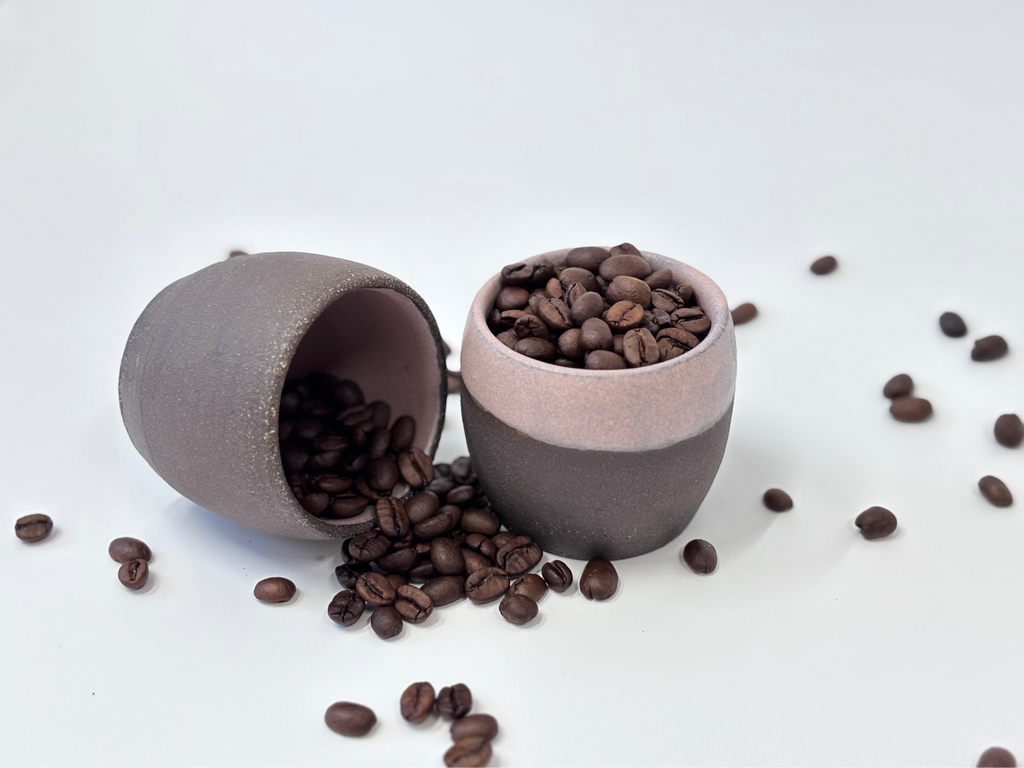 Colombia Danilo Perez 200h fermentation